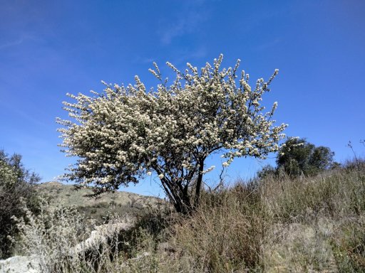 Bogart-Park-Scenic-Hill-Hike-11