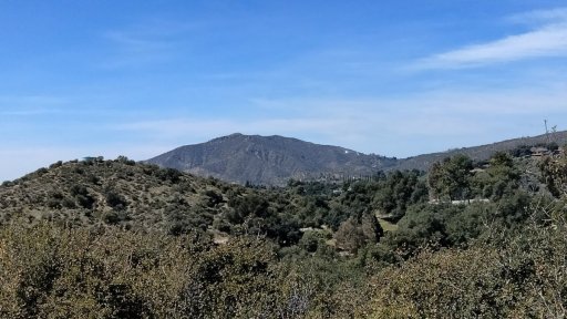Bogart-Park-Scenic-Hill-Hike-14