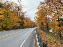 IMG_0571-2