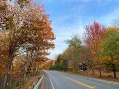 IMG_0579-2