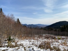 IMG_0386