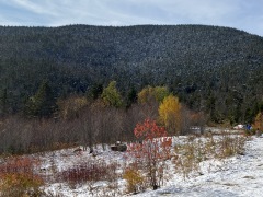 IMG_0390