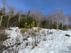 IMG_0398