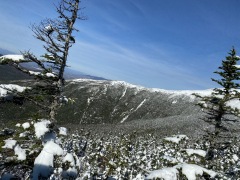 IMG_0433