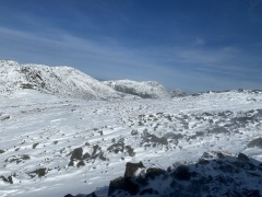 IMG_0457