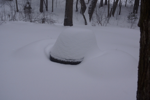 Boston 2015 Snow Scene -  1 - 2015 05 14 snow 003