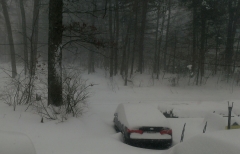 Boston Snow 2015 - 3 - IMAG3377 (1)