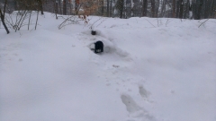 Boston Snow 2015 - 4 - IMAG3527 (1)