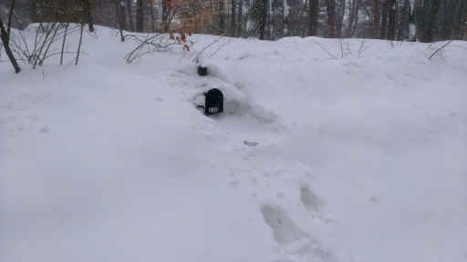 Boston Snow 2015 - 4 - IMAG3527 (1)