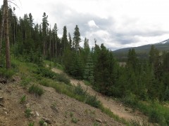 IMG_8064