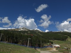 IMG_8124