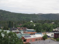 IMG_8223