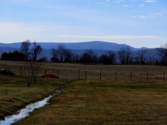 Briery Branch - 4 - IMG_2530_1.jpg