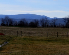 Briery Branch - cropped - 4 - IMG_2530_1.jpg