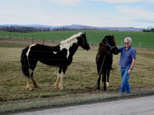 Galen and Horses - IMG_2527.JPG
