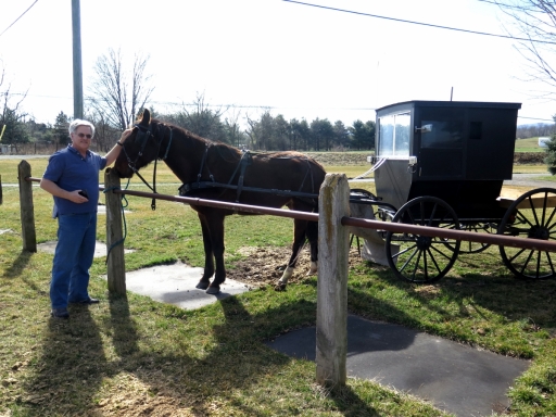 Galen with Horse and Buggy - IMG_2512.JPG
