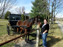Maylee with Horse and Buggy - IMG_2511.JPG