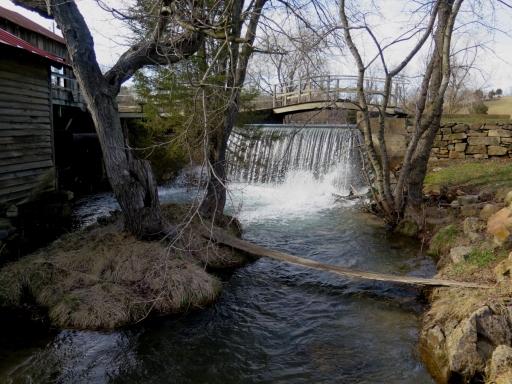 Waterfall and Dam at Briary Branch - IMG_2516.JPG