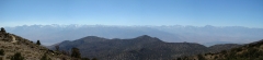 bristlecone-pine-forest-10