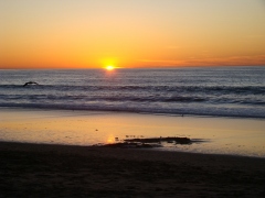 California-Sunset-Los-Angeles01
