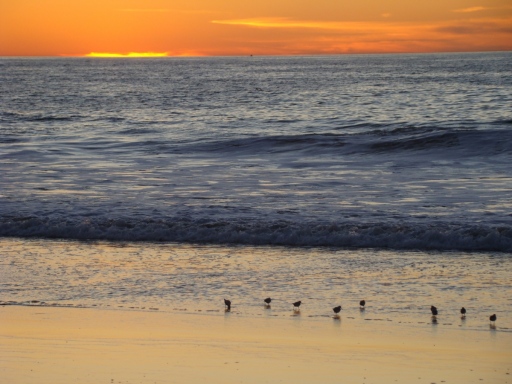 California-Sunset-Los-Angeles02