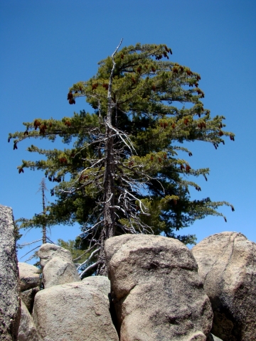 Castle-Rock-04