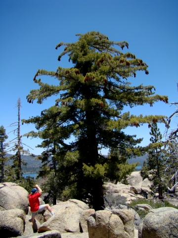 Castle-Rock-05