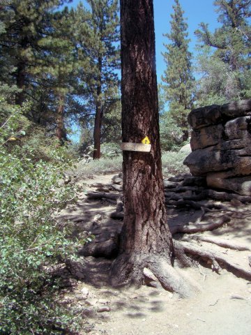 Castle-Rock-11