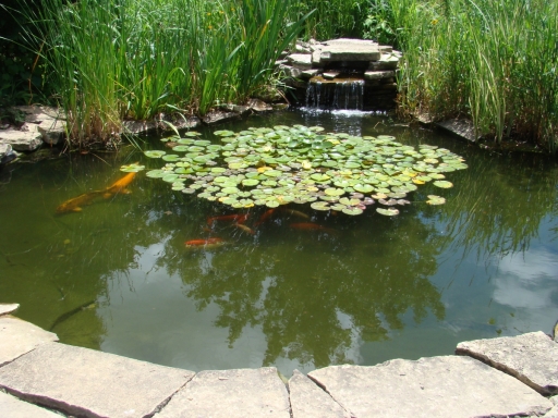 Cedar-Valley-Arboretum-and-Botanic-Gardens-05