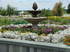 Cedar Valley Arboretum