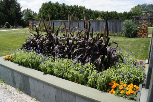 Cedar-Valley-Arboretum-and-Botanic-Gardens-11