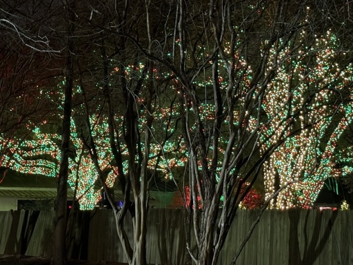 Christmas-Lights-2025-01