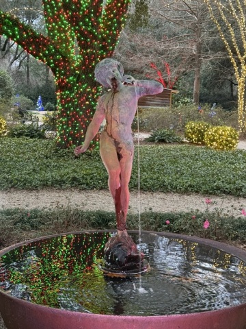 Christmas-Lights-2025-02