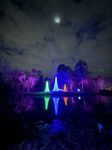 Christmas-Lights-2025-03