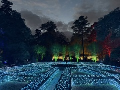 Christmas-Lights-2025-04