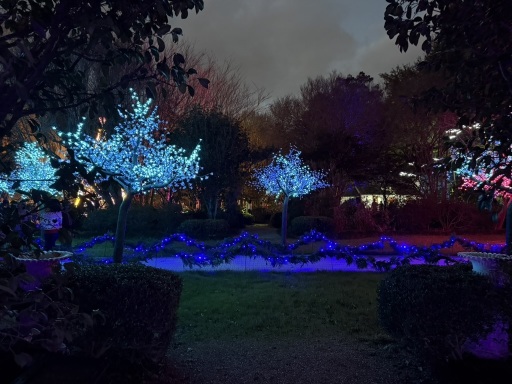 Christmas-Lights-2025-05