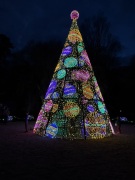 Christmas-Lights-2025-06