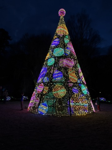 Christmas-Lights-2025-06