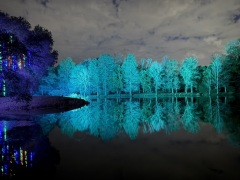 Christmas-Lights-2025-07