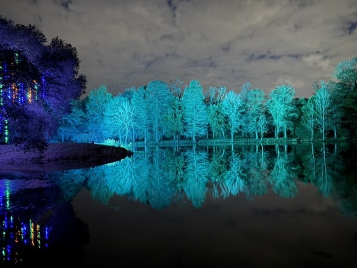 Christmas-Lights-2025-07