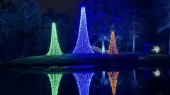 Christmas-Lights-2025-08