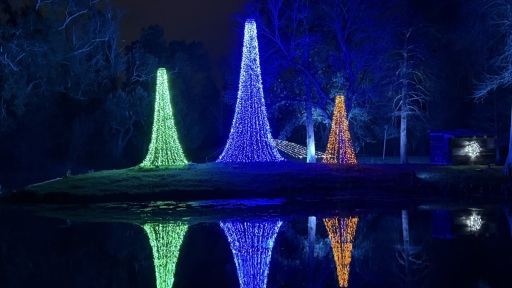 Christmas-Lights-2025-08