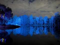 Christmas-Lights-2025-09