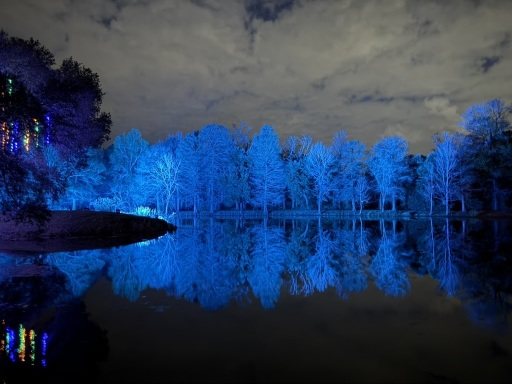 Christmas-Lights-2025-09