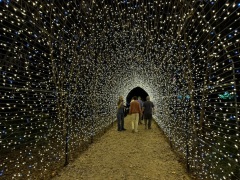 Christmas-Lights-2025-12