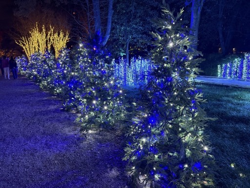 Christmas-Lights-2025-14