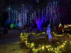 Christmas-Lights-2025-15