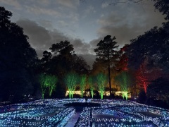 Christmas-Lights-2025-16