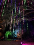 Christmas-Lights-2025-17