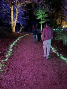 Christmas-Lights-2025-18